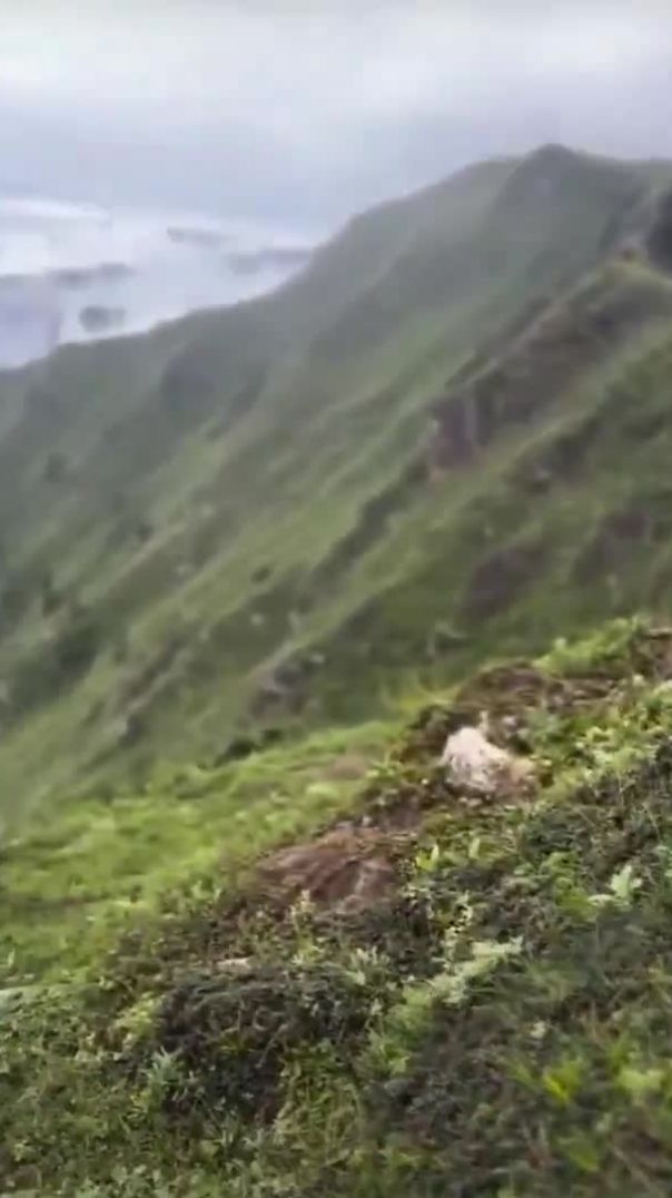 Indian army edit☠️☠️☠️