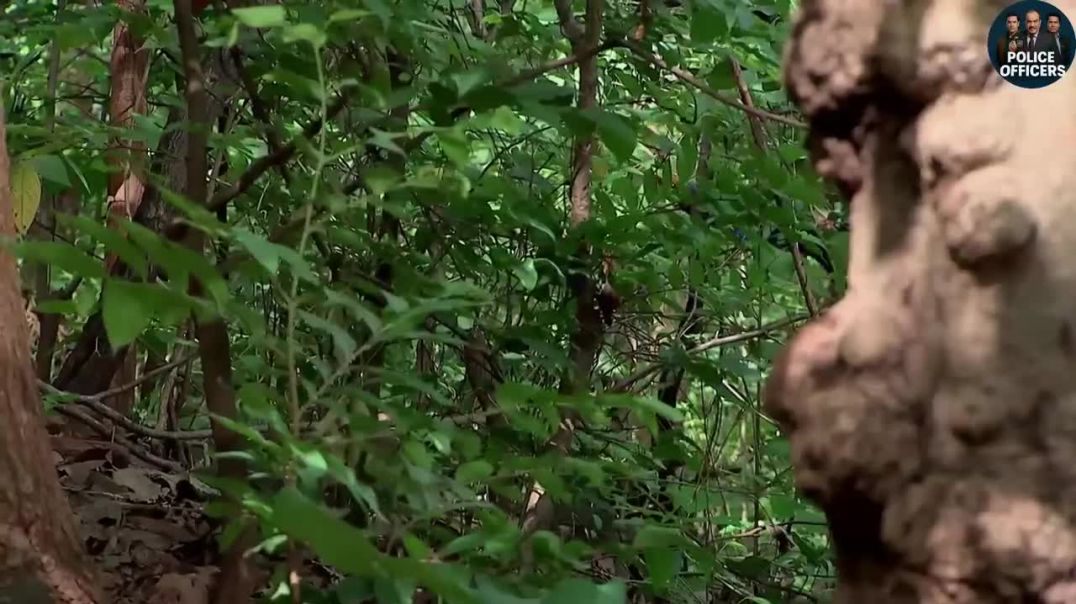 ⁣School Trip से बच्चे हुए Kidnap_ Shreya ने बचाई जान___ CID _ Latest Episode __(720P_HD)