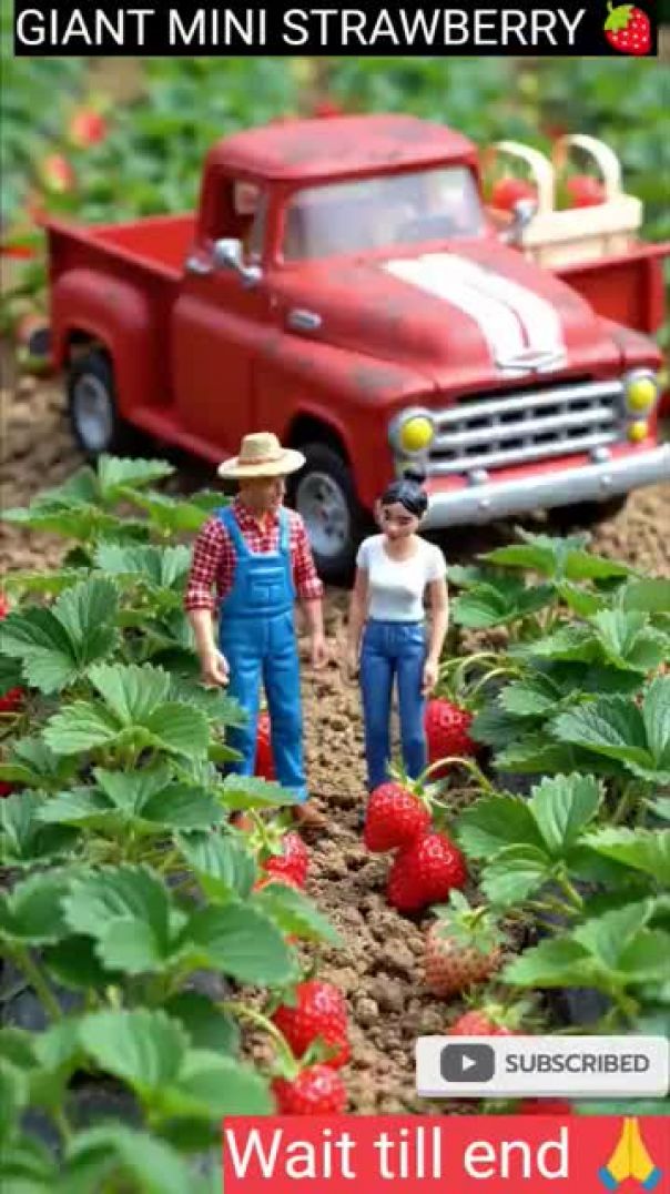 This Mini Strawberry Farm Looks Real! 😳  Mini Farming Story #shirts #farming #miniature