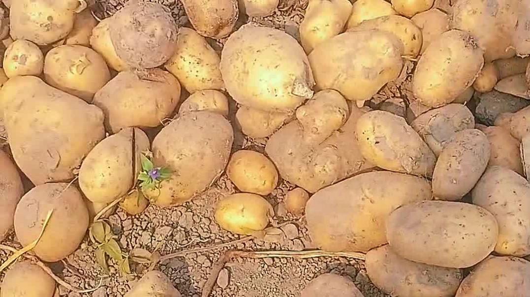 ⁣समोसा और कोल्ड ड्रिंक की पार्टी#mini blog #viral #tre