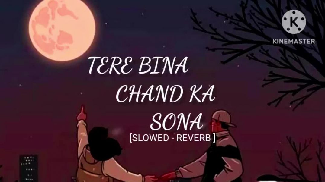 ⁣Tere bina chand ka sona |Slowed and reverb |lofi song |tere bina |
