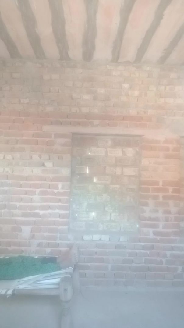 न्यू ट्रेंडिंग वीडियो