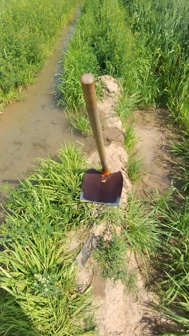 VID_20260228_133412352