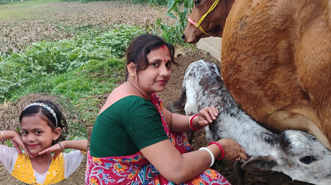 ⁣Village Family Dairy Routine🐄#familyvlog#villagelife#entertainmentvideo