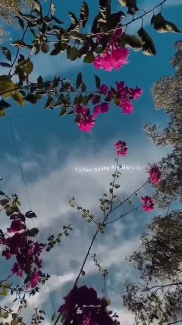 Feel lyrics 😌💖🍃