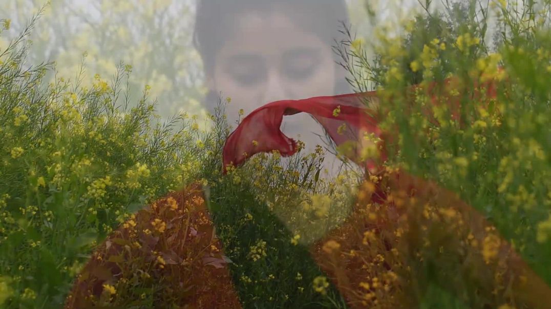 ⁣Gajban __ Chundadi Jaipur ki __ Dance Choreography __ Kumari varsha __ Sapna Chaudhry __ Dance Cover