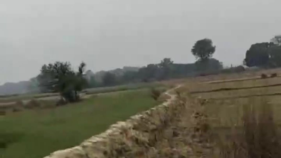 ⁣गांव की छोटी सी झलक 💞🤗💓