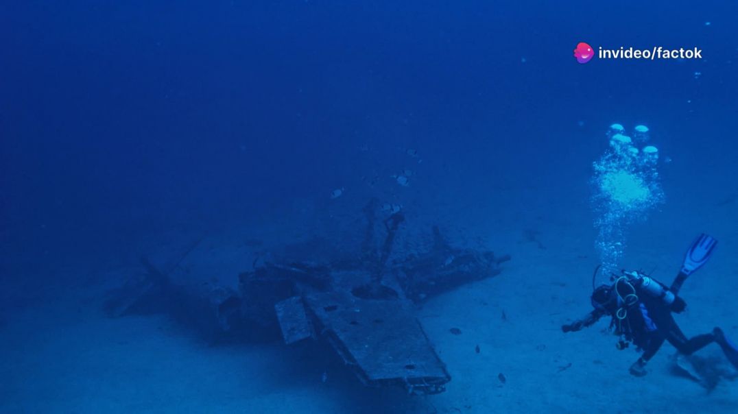 Mariana Trench_ धरती की सबसे गहरी जगह का रहस्य