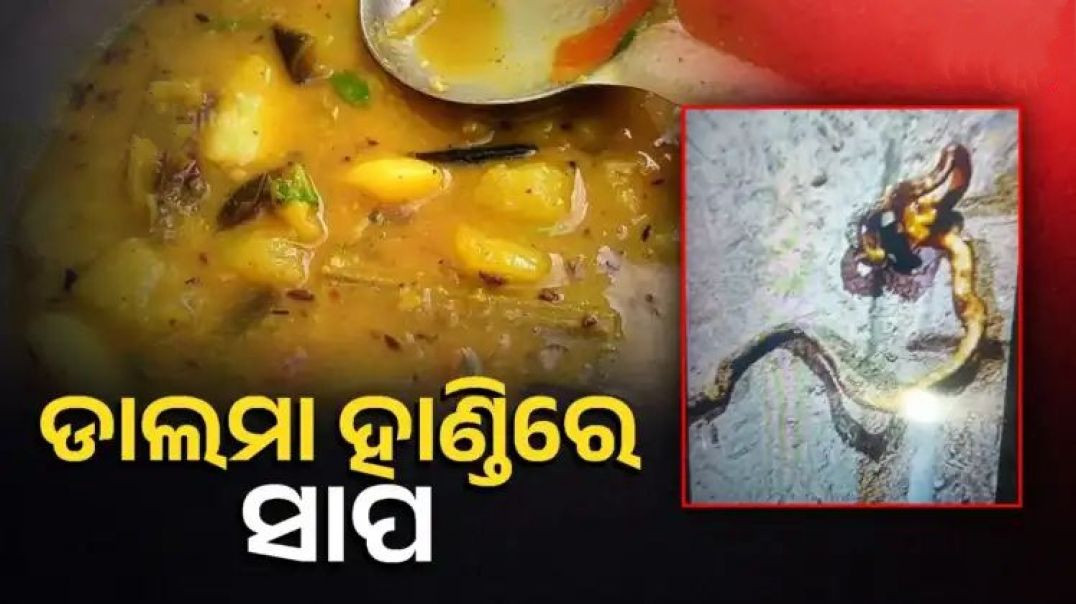 ଡାଲମାରୁ ବାହାରିଲା ସାପ।