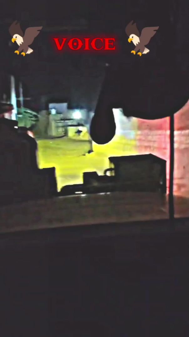 🦅 voice 🦅 lv_0_20260308204126