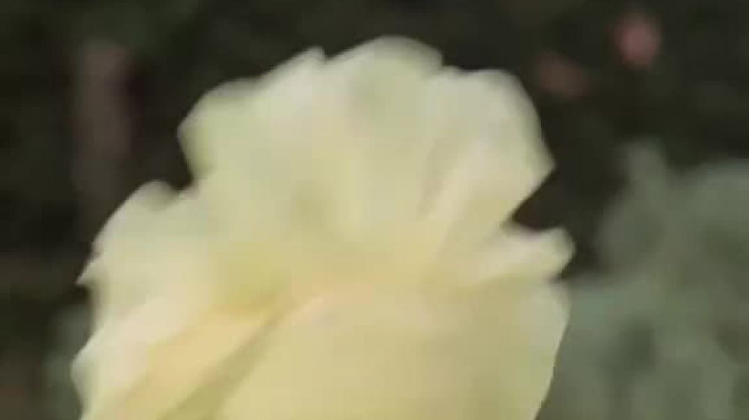 facebook_1760722047790