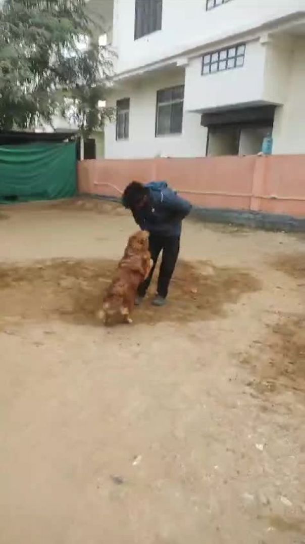 VID-20241226-WA0092