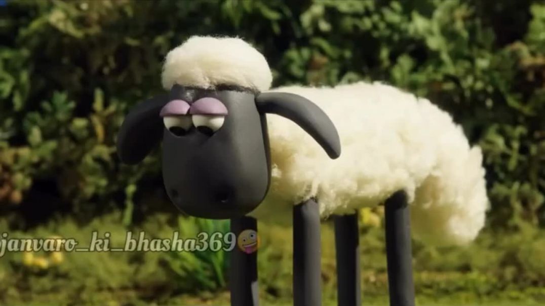 ⁣Ladihaaa 🤪🤪  janvaron ke funny cartoons  #animals #pets #funny #janvro ki bhasha