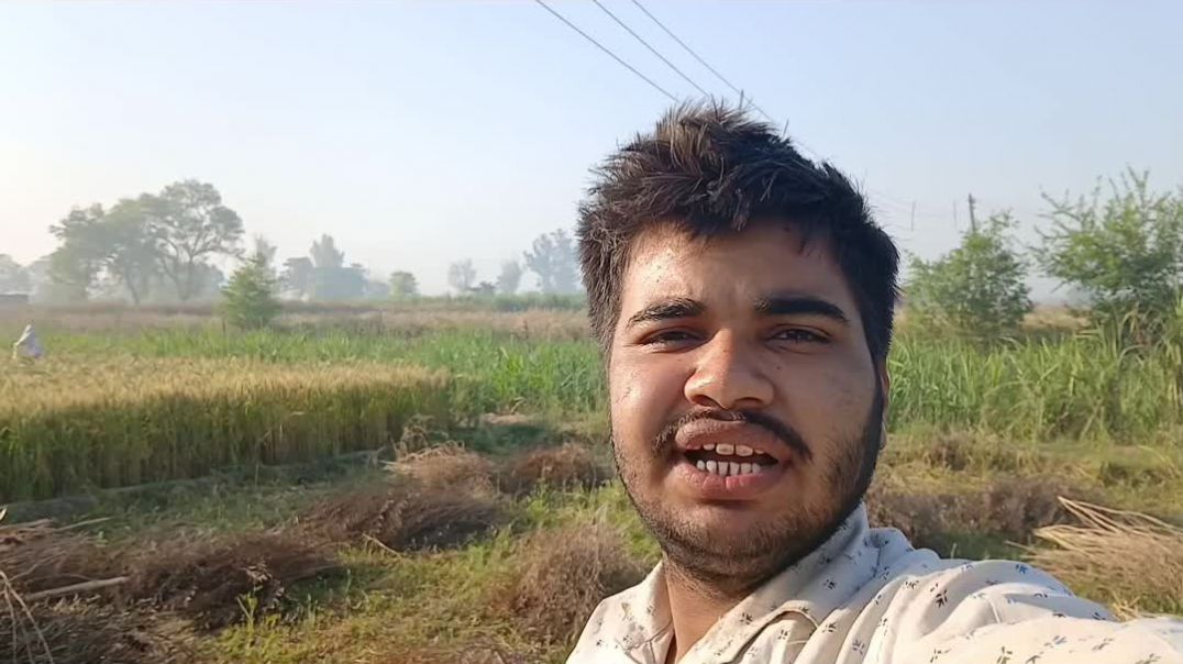#villagevlog #gaonkilife #farminglife #desivlog #rurallife #indiavillage