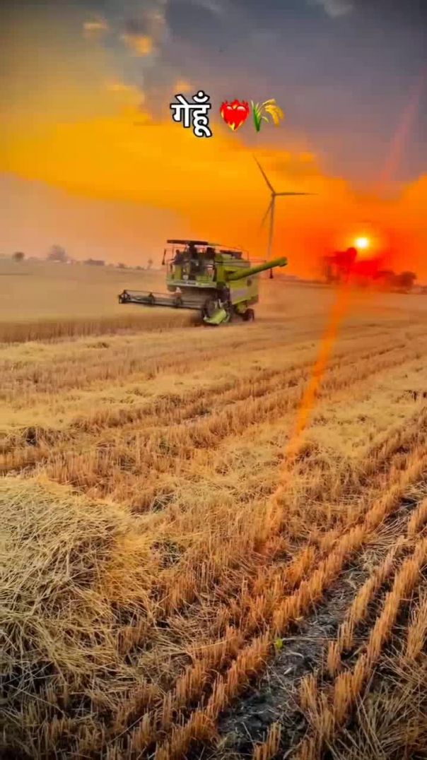 YouCut_20260314_115228784