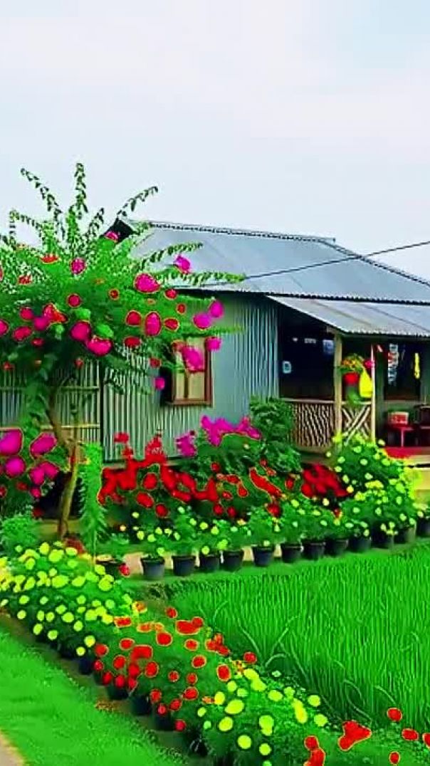 मेरा गांव