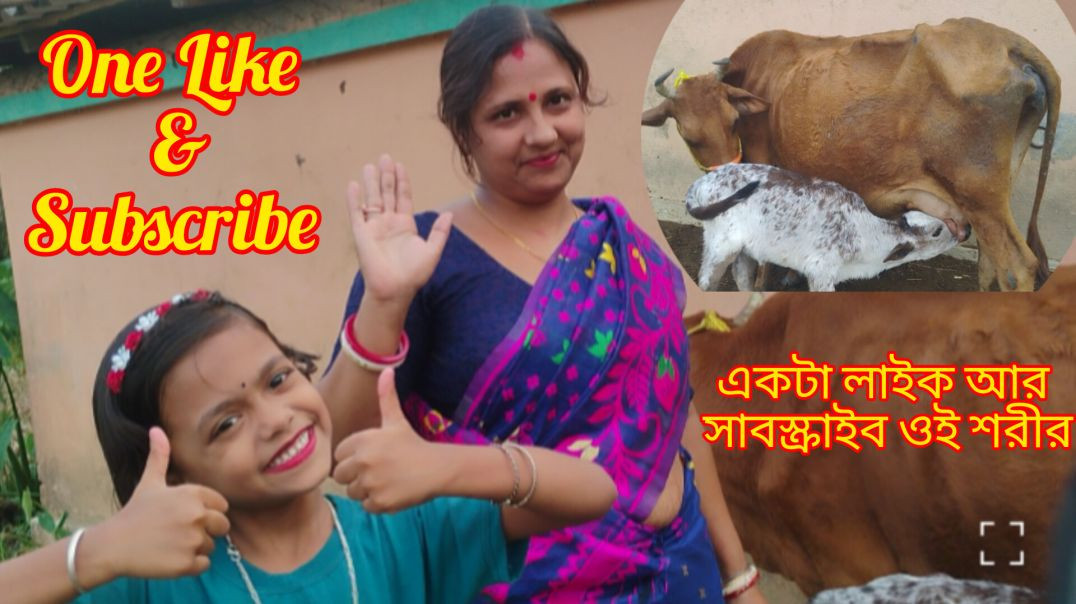 Pure Organic milk farm Our Cow 🐄 #familycowmilking#villagelife#trendingvideo