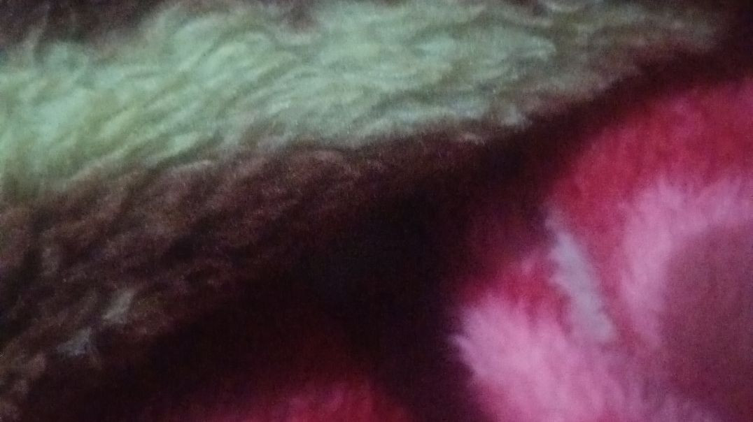 ishqan de lekhe movie