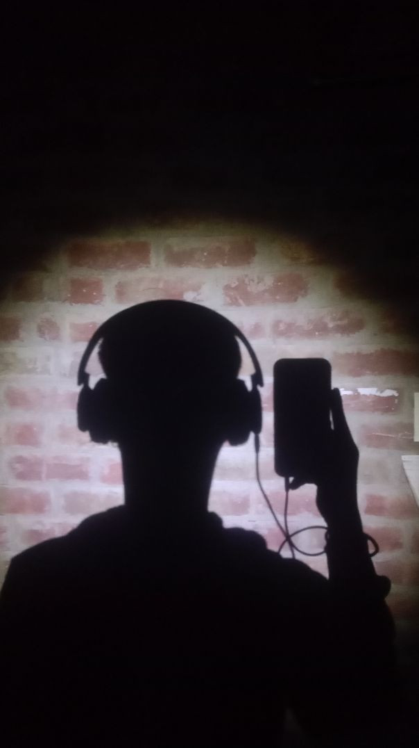 Seplandor song cover