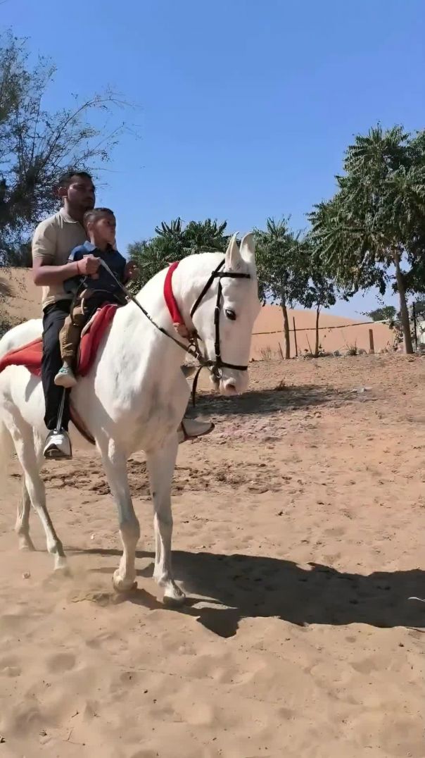 Horse 🐎 riding
