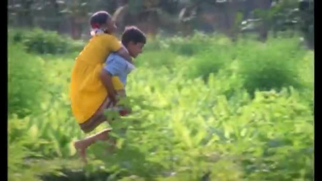 ⁣VID-20260227-WA0074