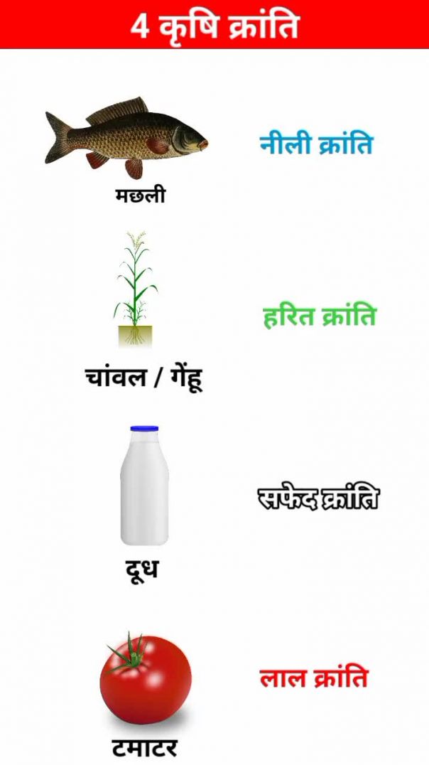 Gk in Hindi - नीली क्रांति __ लाल क्रांति __ सफेद क्रांति(MP4)