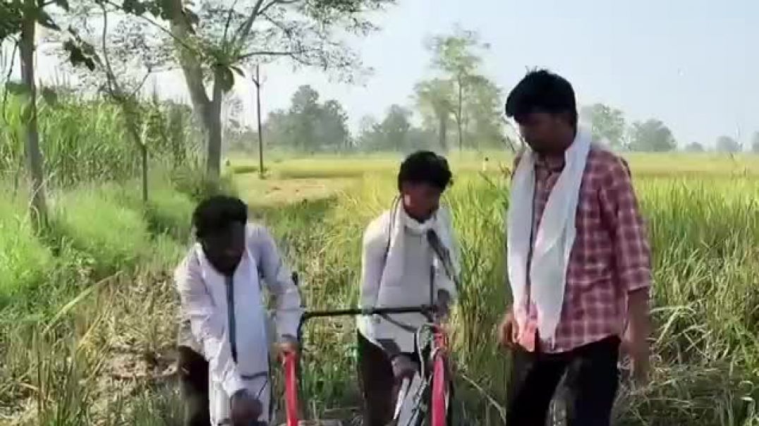 ⁣Dan ktai ka order aa gya