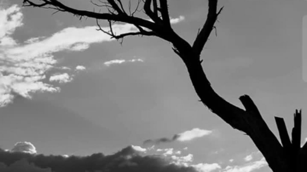 ⁣अपने अतीत को अपना भविष्य न तय करने दें - miracle of mind मन का चमत्कार sadhguru