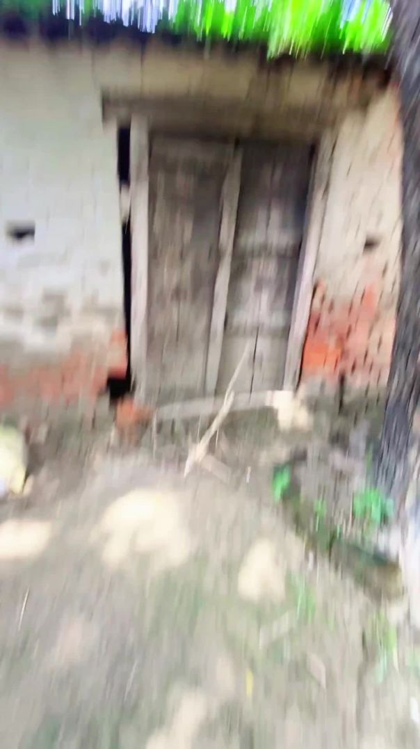 रिलाई हो गई #funny #shorts