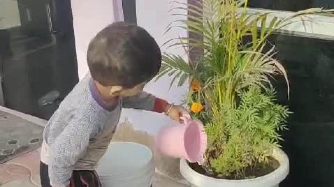 ⁣#yansh watering in plants ☘️🌵