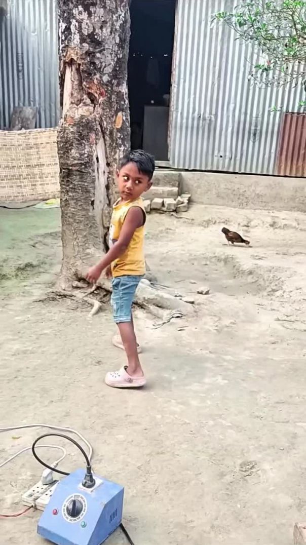 arallfunny-20260212-0001