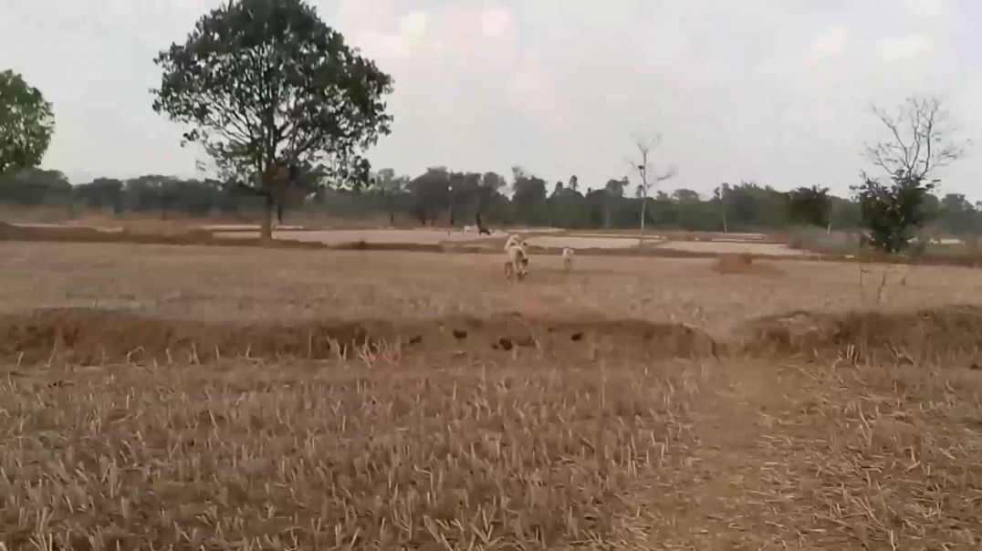 बिन मौसम बरसात अचानक मौसम हुआ चेंज
