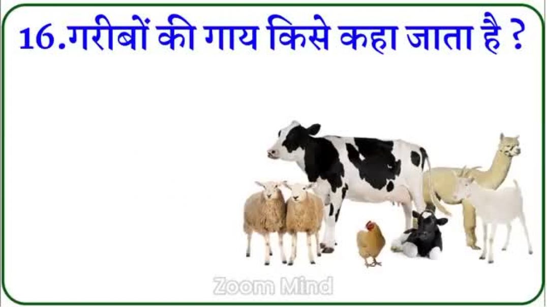 ⁣Gk_Questions_And_Answers____Gk_Quiz____Gk_ke_sawal____General_Knowledge____Gk_Questions_In_Hindi(360