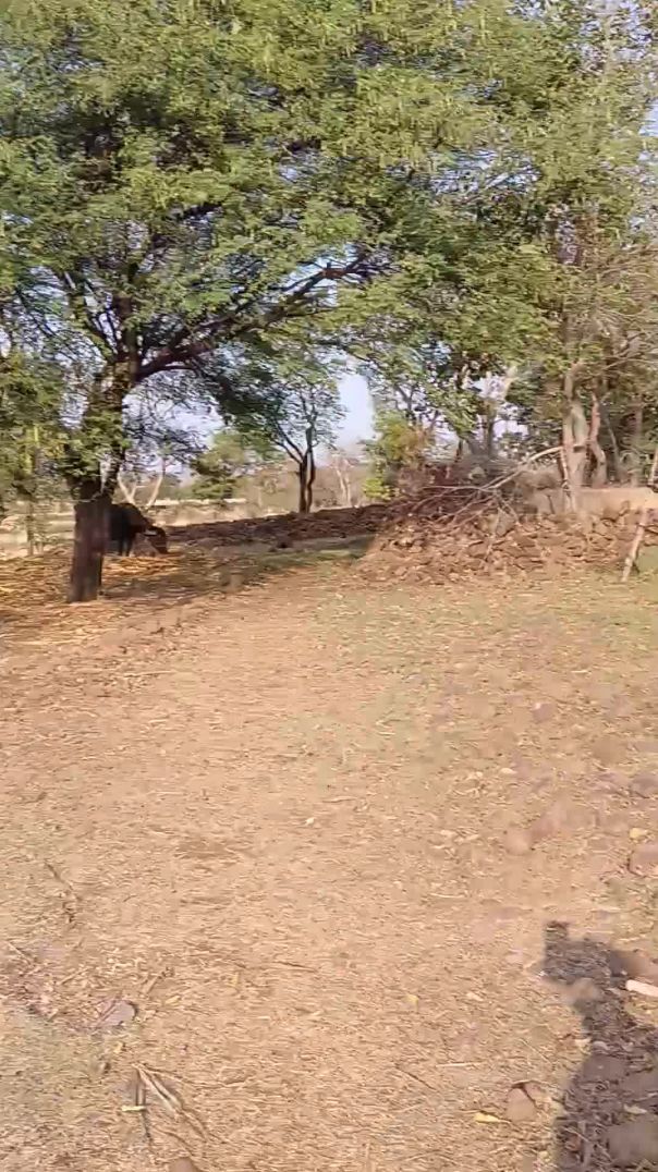 video_20260224_162632