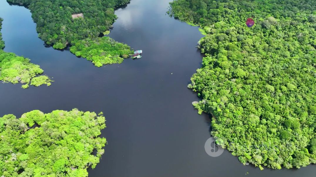 mazon Jungle Ki Rahasyamayi Duniya_