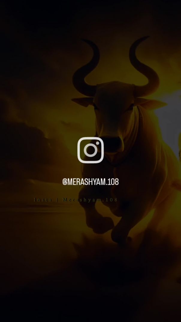 VID_148381216_211001_486