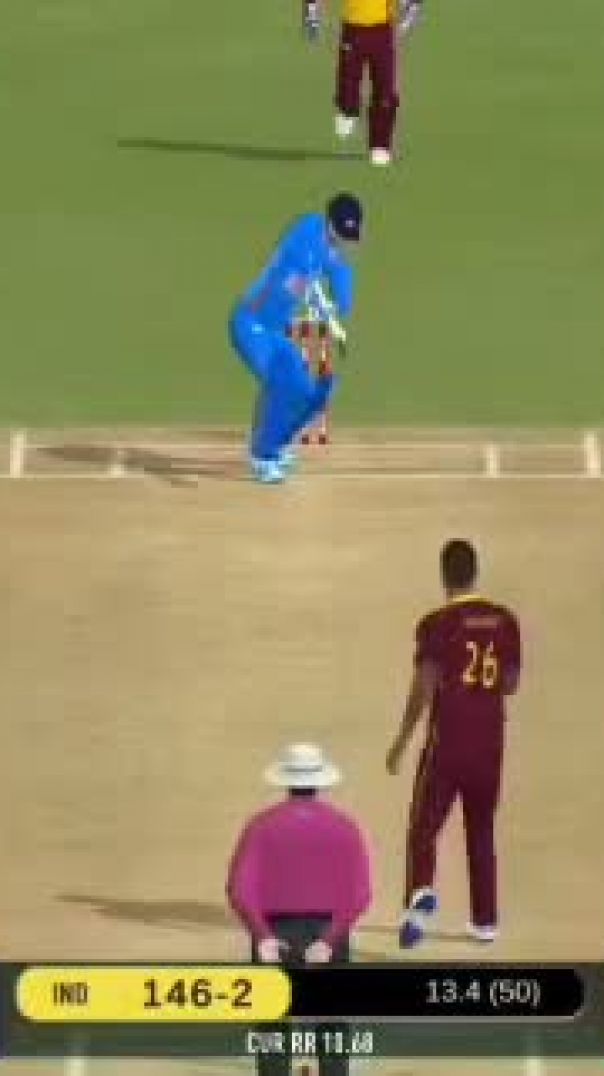 Real cricket game