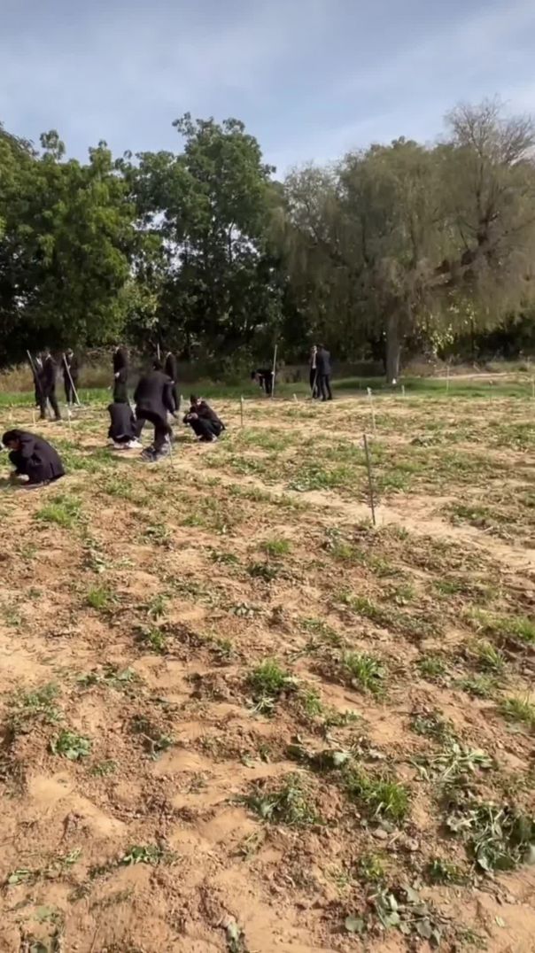 VID_20260127_005044_294