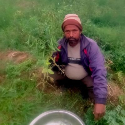 115681980238002975070 