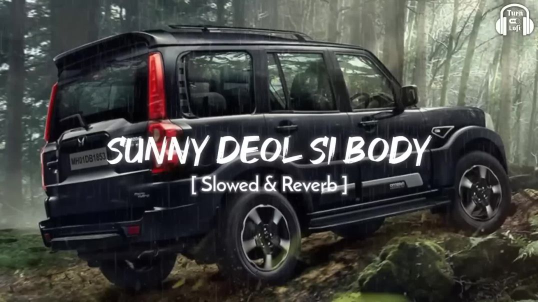 ⁣Sunny_Deol_Si_Body_Re___Slowed___Reverb___Raju_Punjabi___Choudhar_Jaat_Ki_Latest_Haryanvi_Song(1080p
