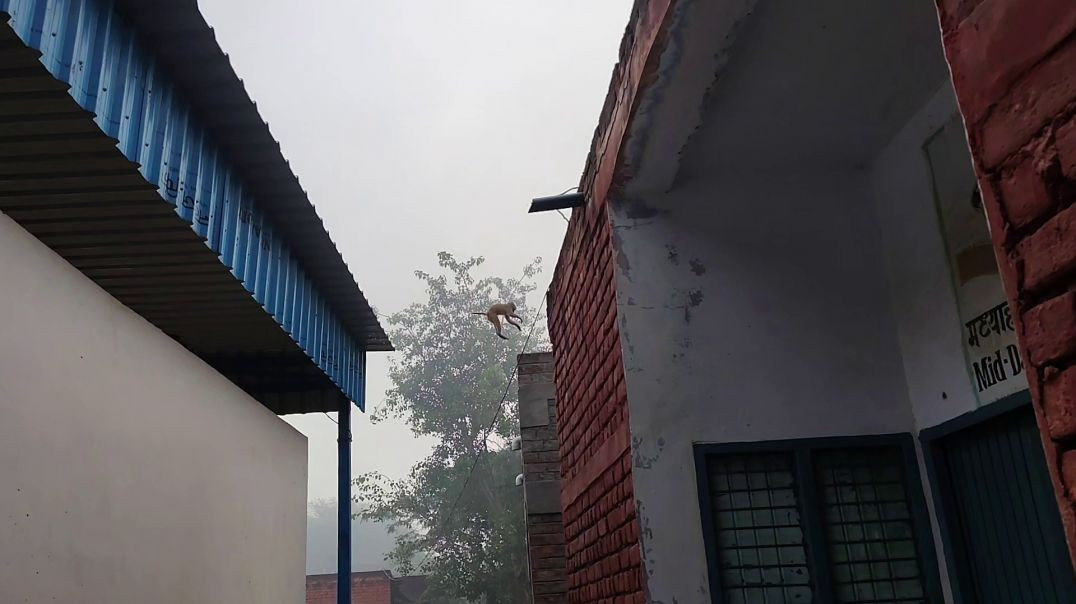 ⁣building construction | भवन निर्माण व्लॉग / surender halwai