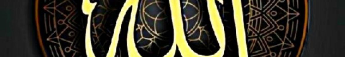 114027343357834506284 