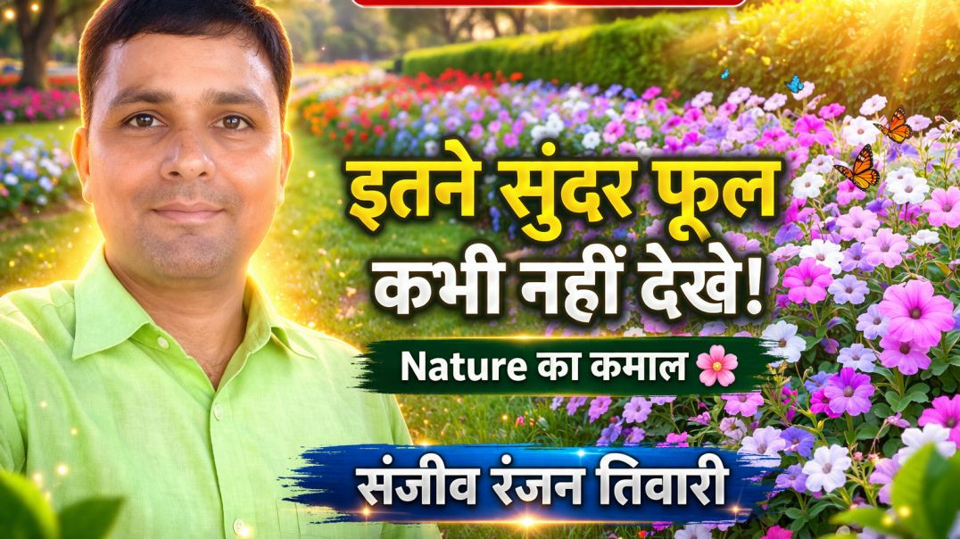 ⁣इतने सुंदर फूल आपने नहीं देखे होंगे 🌸 Nature Garden Video | Sanjeev Entertainment