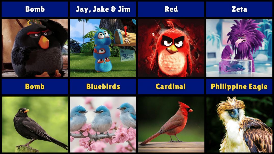 ⁣Angry Birds In Real Life