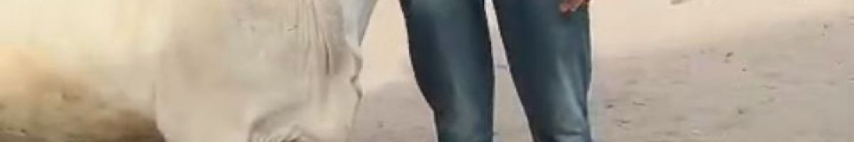 115559114990515717714 