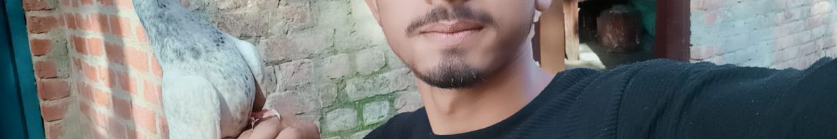 Rihan Saifi