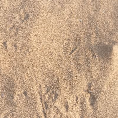 100314830883945029185