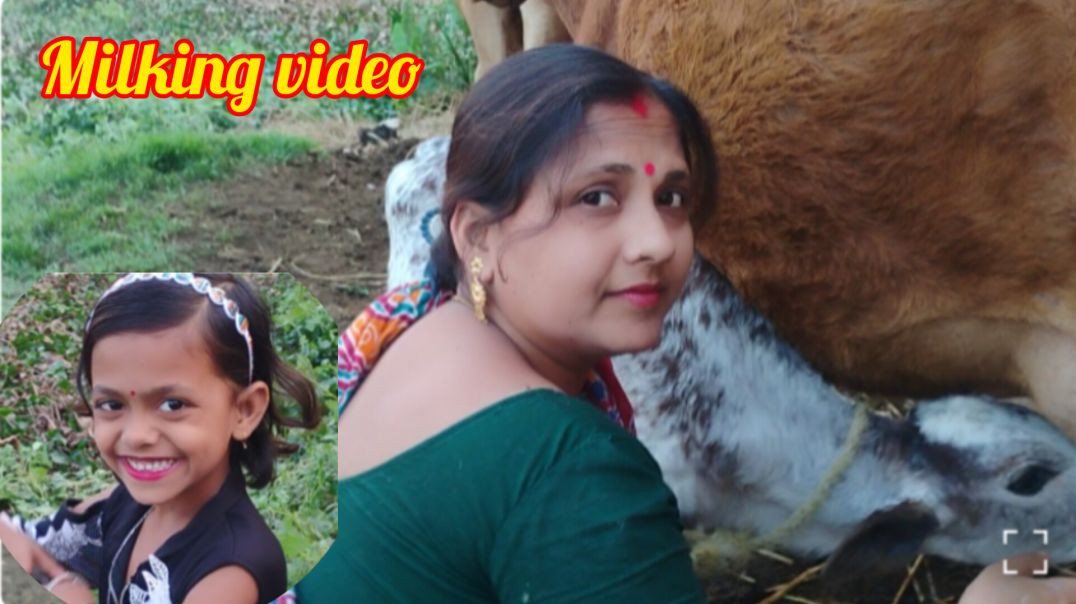 ⁣Family cow milking video #familylife#villagelife#cowmilking#rajuda