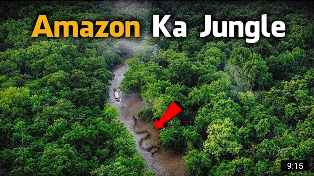 ⁣Most_Dangerous_Animals_Of_Amazon_Rainforest___Strange_Facts_About_Amazon_Rainforest_[Hindi_Urdu]_MP4