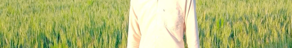 coll_music coll_music